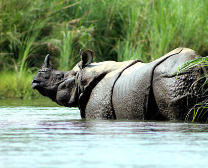 3 Nights 4 Days Chitwan National Park Tour